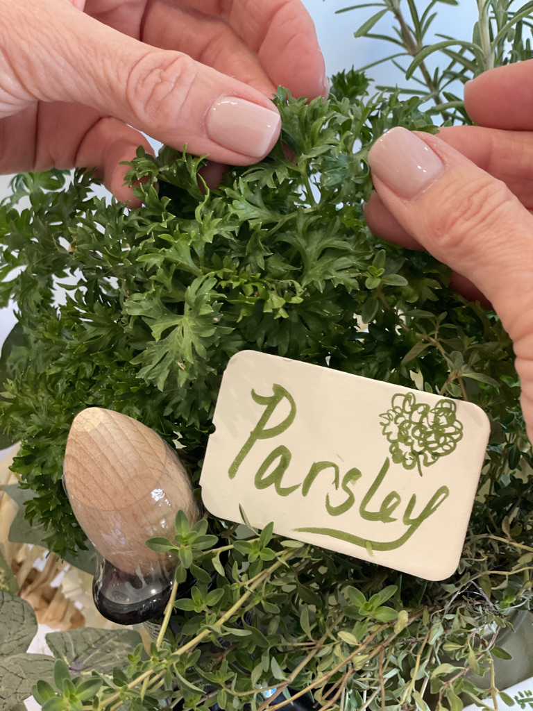 Fresh Parsley #foodblogger #sage #thyme #herbs #cookingwithherbs #rosemary #parsley #chef #cooking #howtoaddflavor #mealprep