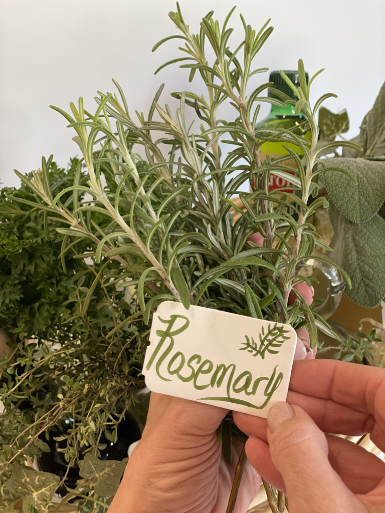 Fresh Rosemary #foodblogger #sage #thyme #herbs #cookingwithherbs #rosemary #parsley #chef #cooking #howtoaddflavor #mealprep